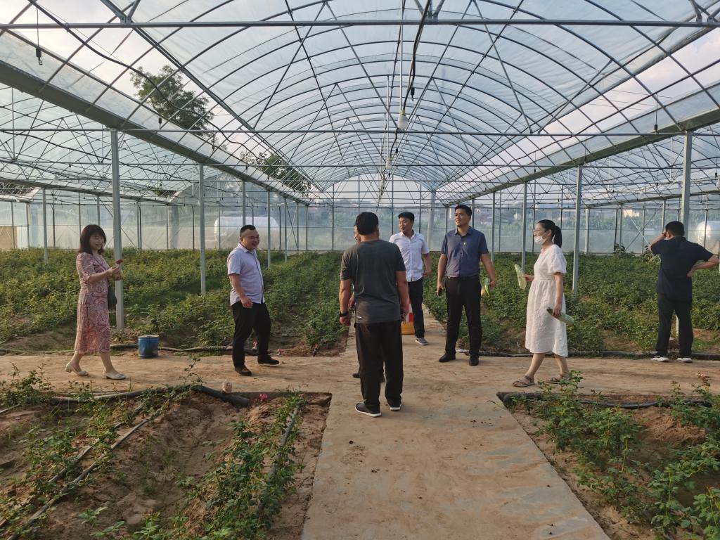 韦德体育bevictor